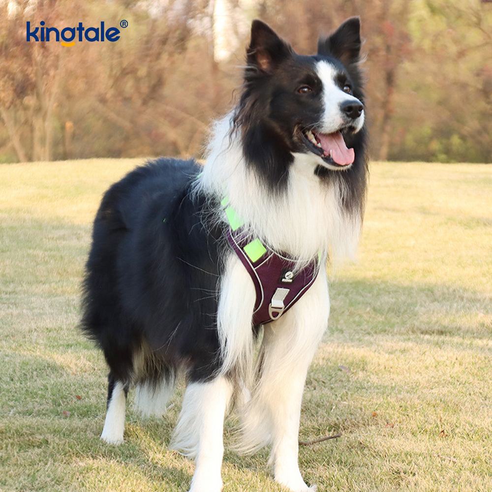 Nylon Rivet Reflective Adjustable Breathable Sport Dog Pet Harness