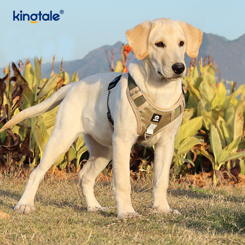 Nylon Rivet Reflective Adjustable Breathable Sport Dog Pet Harness