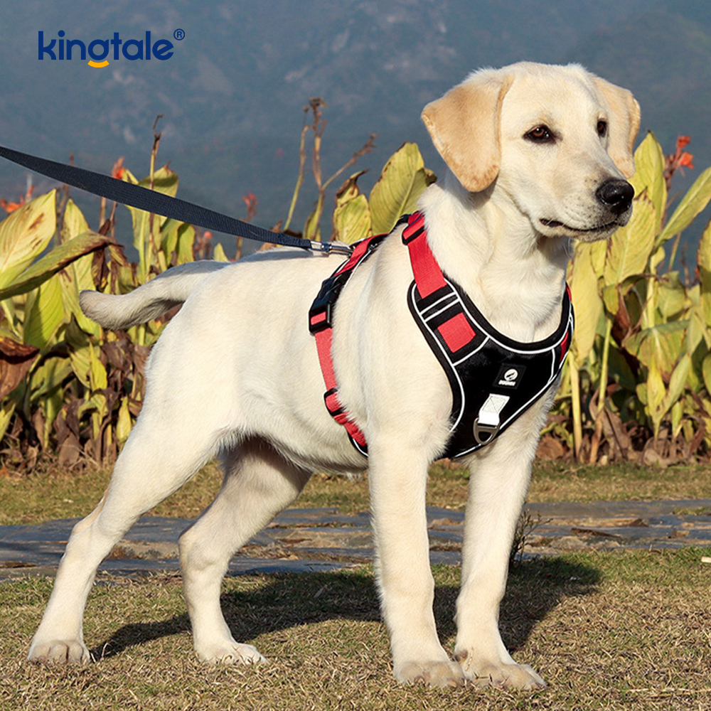 Nylon Rivet Reflective Adjustable Breathable Sport Dog Pet Harness
