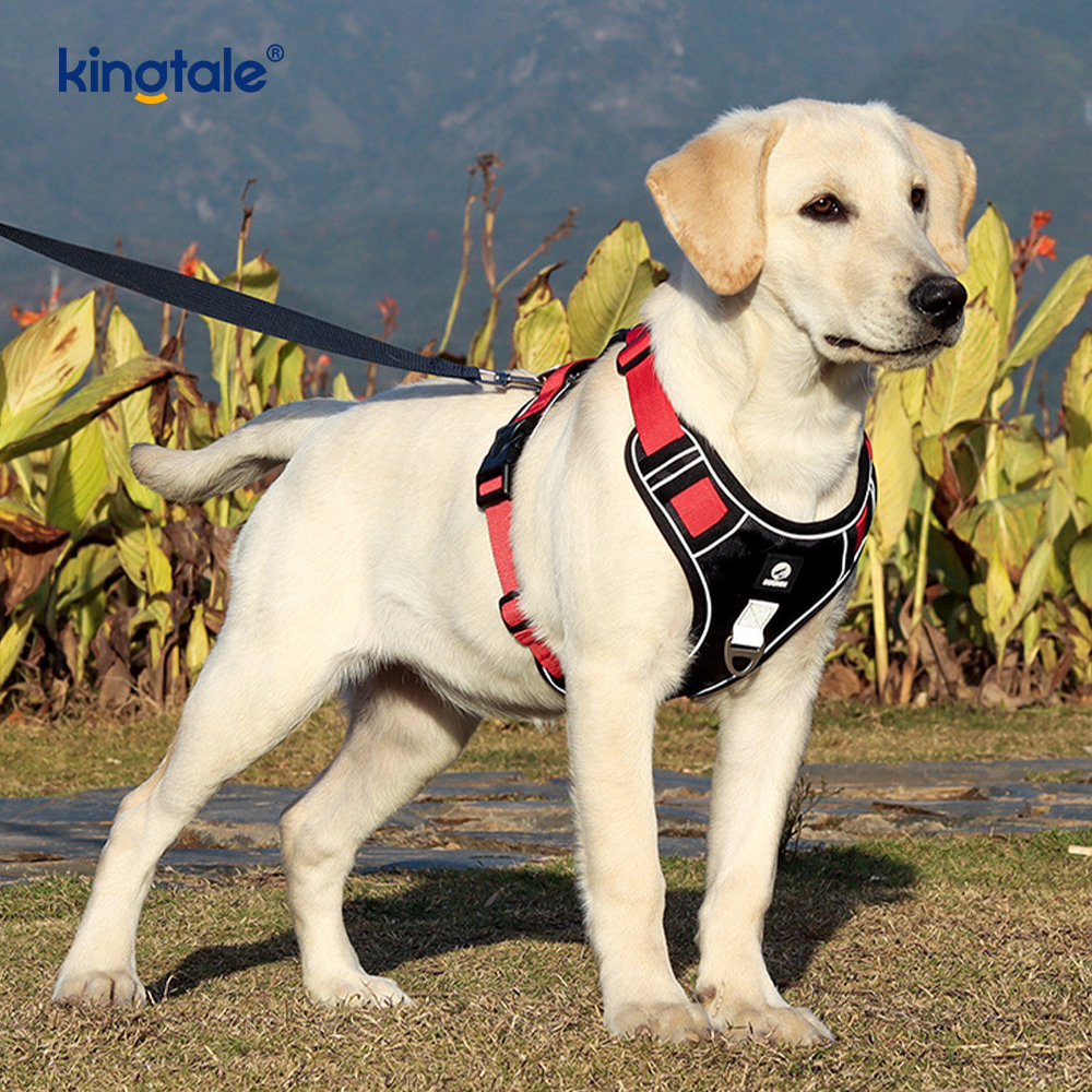 Nylon Rivet Reflective Adjustable Breathable Sport Dog Pet Harness