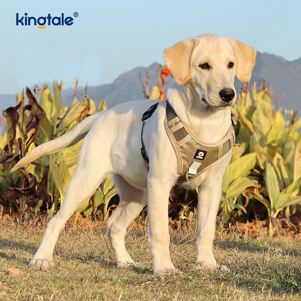 Nylon Rivet Reflective Adjustable Breathable Sport Dog Pet Harness