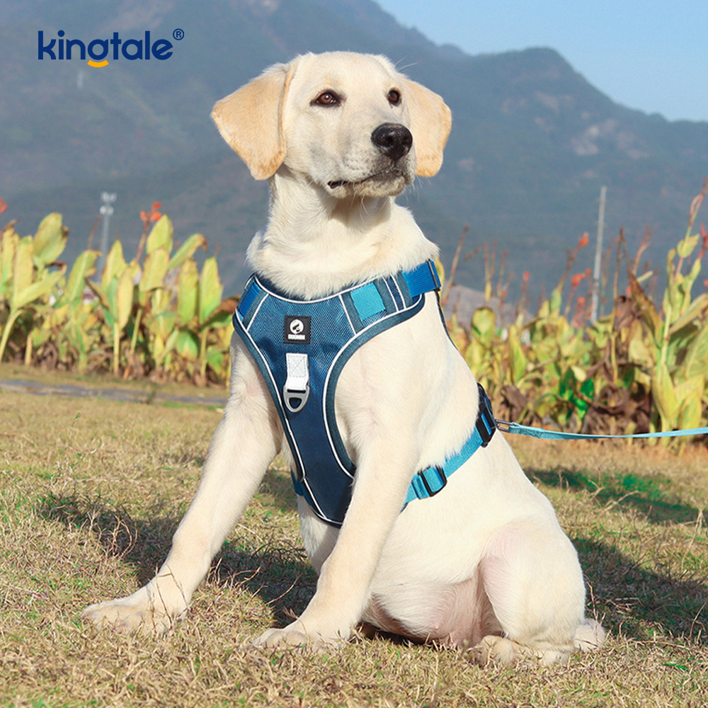 Nylon Rivet Reflective Adjustable Breathable Sport Dog Pet Harness