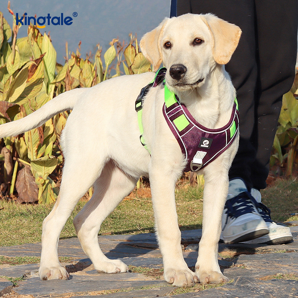 Nylon Rivet Reflective Adjustable Breathable Sport Dog Pet Harness