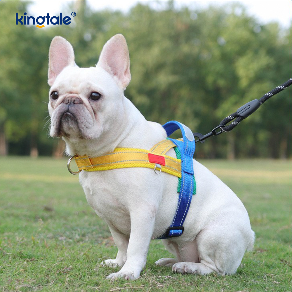 Custom Wholesale Adjustable Nylon Reflective Pet Dog Harness Least Set 