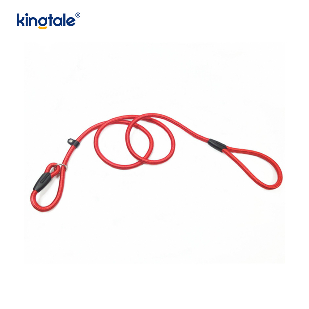Slip Lead Dog Leash Strong Nylon Rope Leash Dog Training Lead For Pets