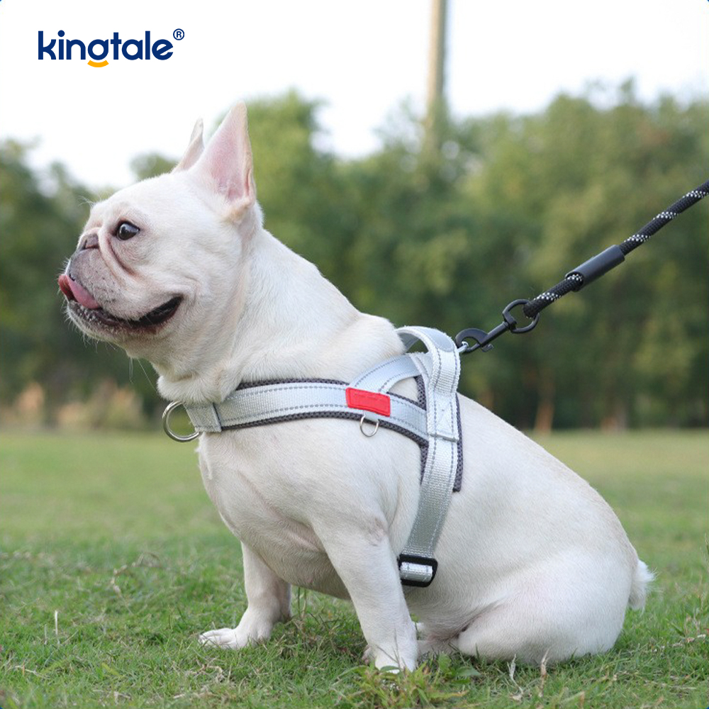 Custom Wholesale Adjustable Nylon Reflective Pet Dog Harness Least Set 