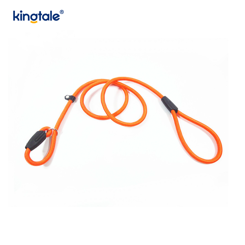 Slip Lead Dog Leash Strong Nylon Rope Leash Dog Training Lead For Pets