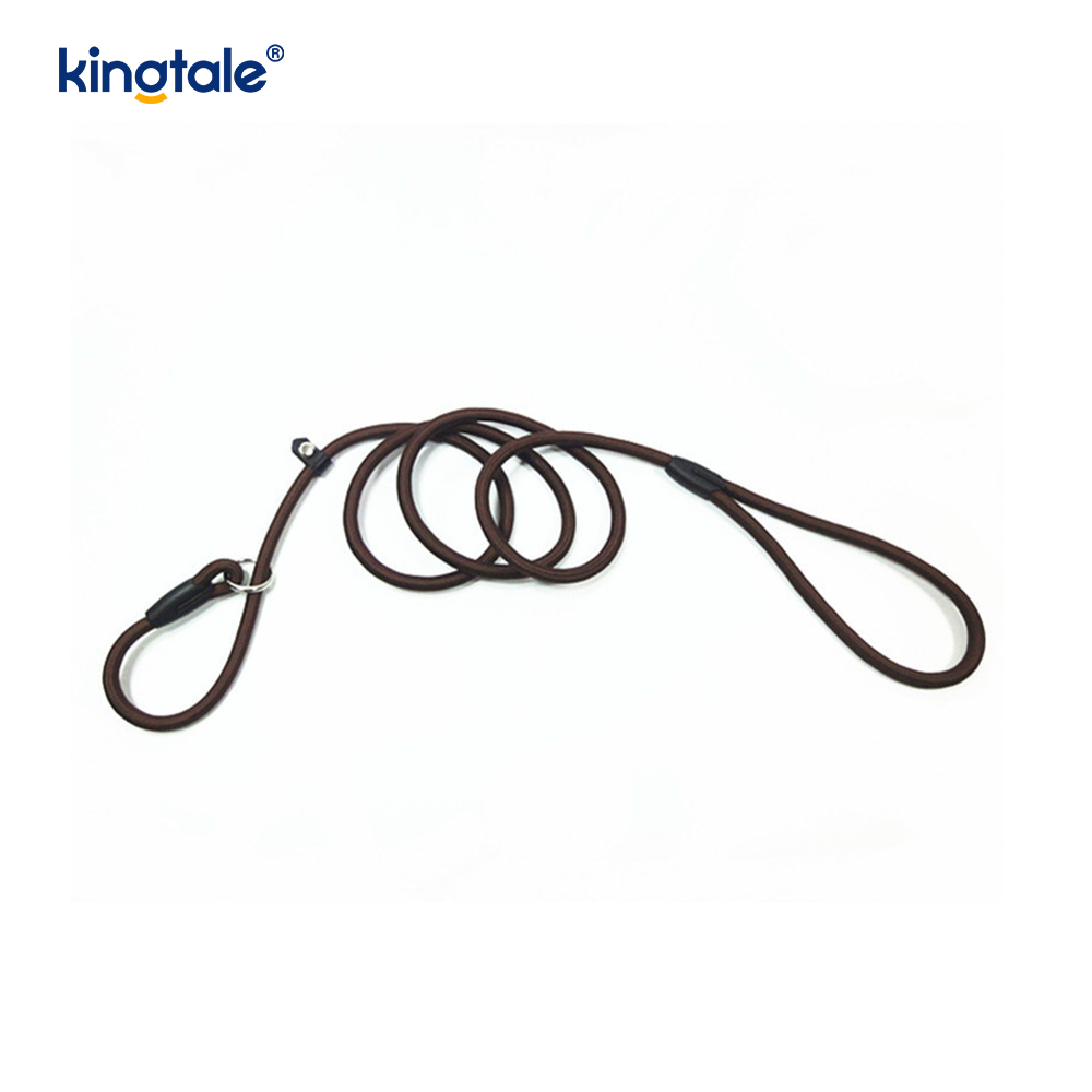 Slip Lead Dog Leash Strong Nylon Rope Leash Dog Training Lead For Pets