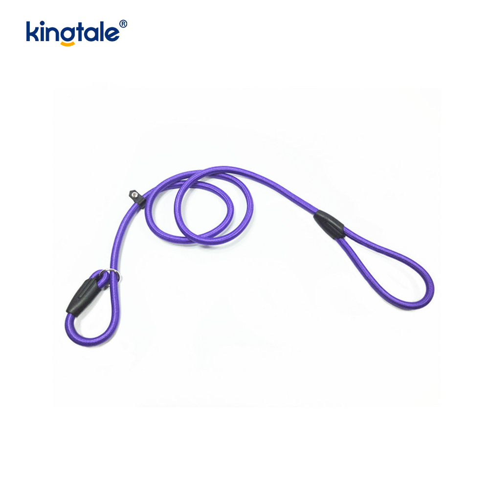 Slip Lead Dog Leash Strong Nylon Rope Leash Dog Training Lead For Pets