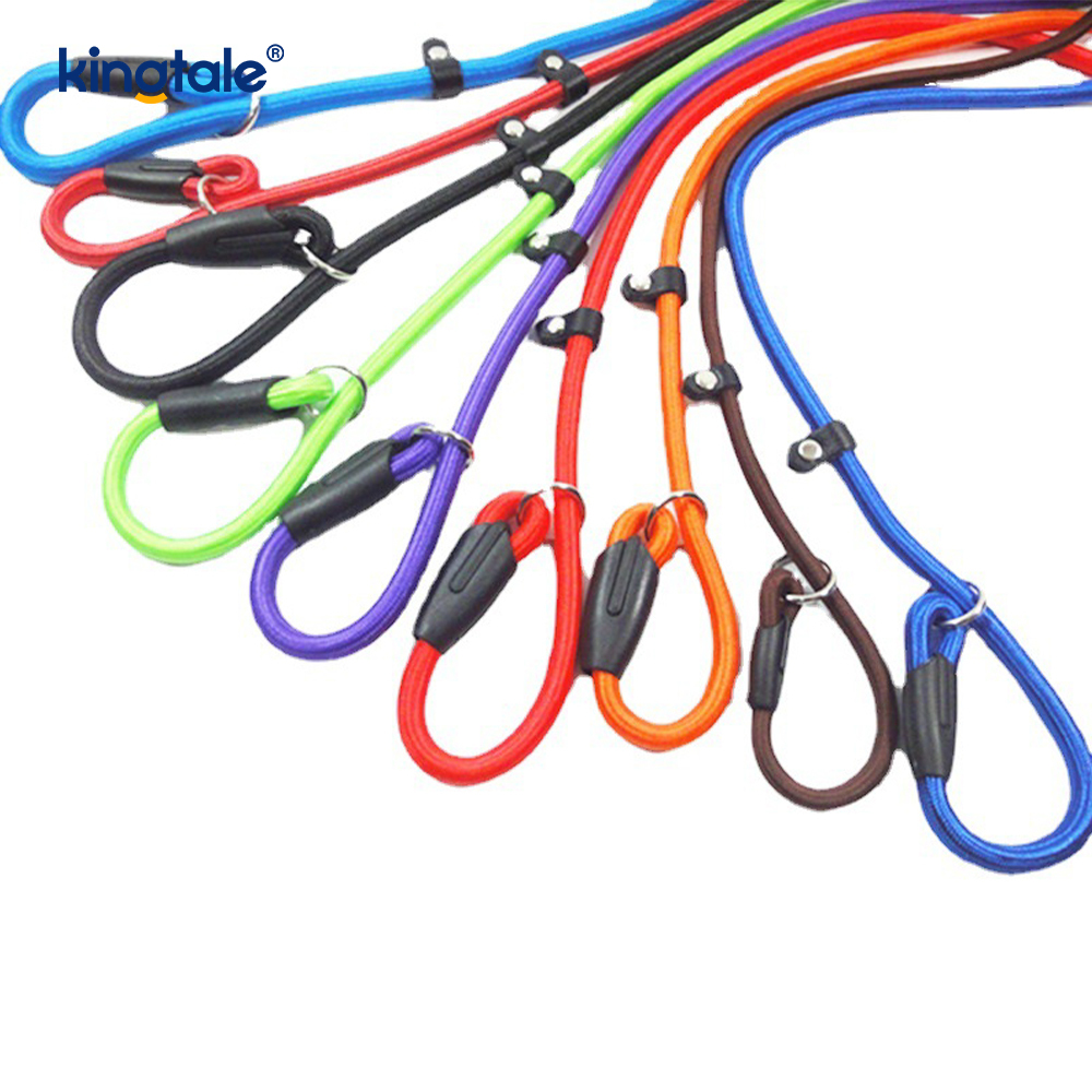 Slip Lead Dog Leash Strong Nylon Rope Leash Dog Training Lead For Pets