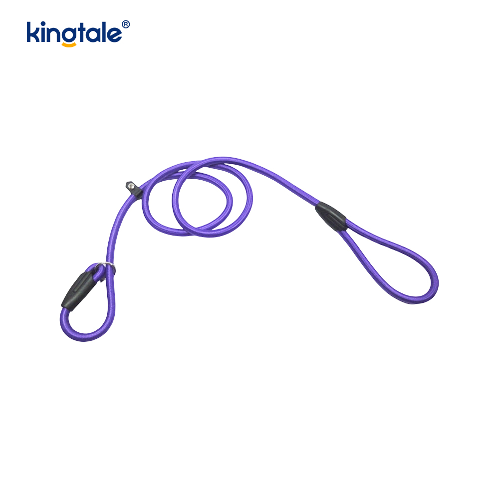 Customized Adjustable Flying Rope Peony Parrot Harness and Leash Set  