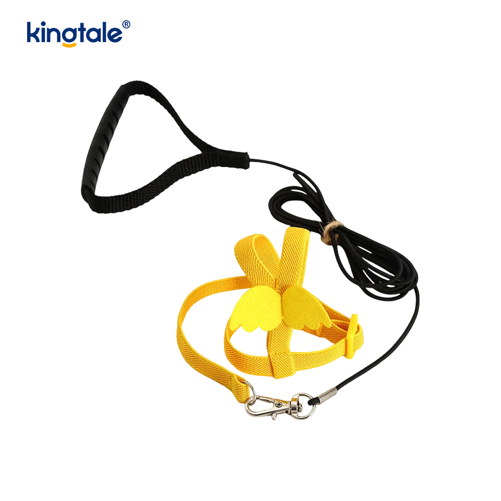 Customized Adjustable Flying Rope Peony Parrot Harness and Leash Set  