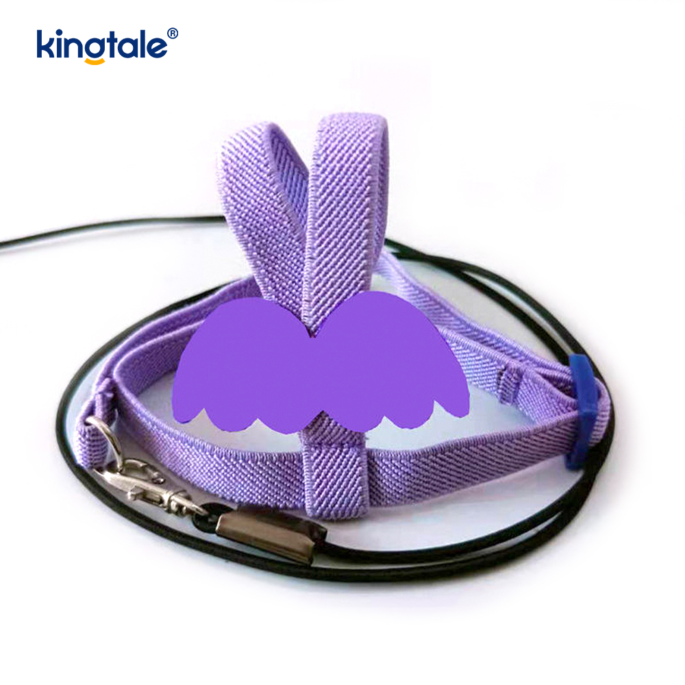 Customized Adjustable Flying Rope Peony Parrot Harness and Leash Set  
