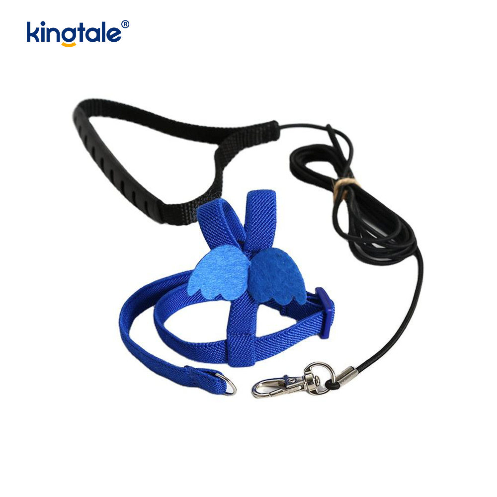 Customized Adjustable Flying Rope Peony Parrot Harness and Leash Set  