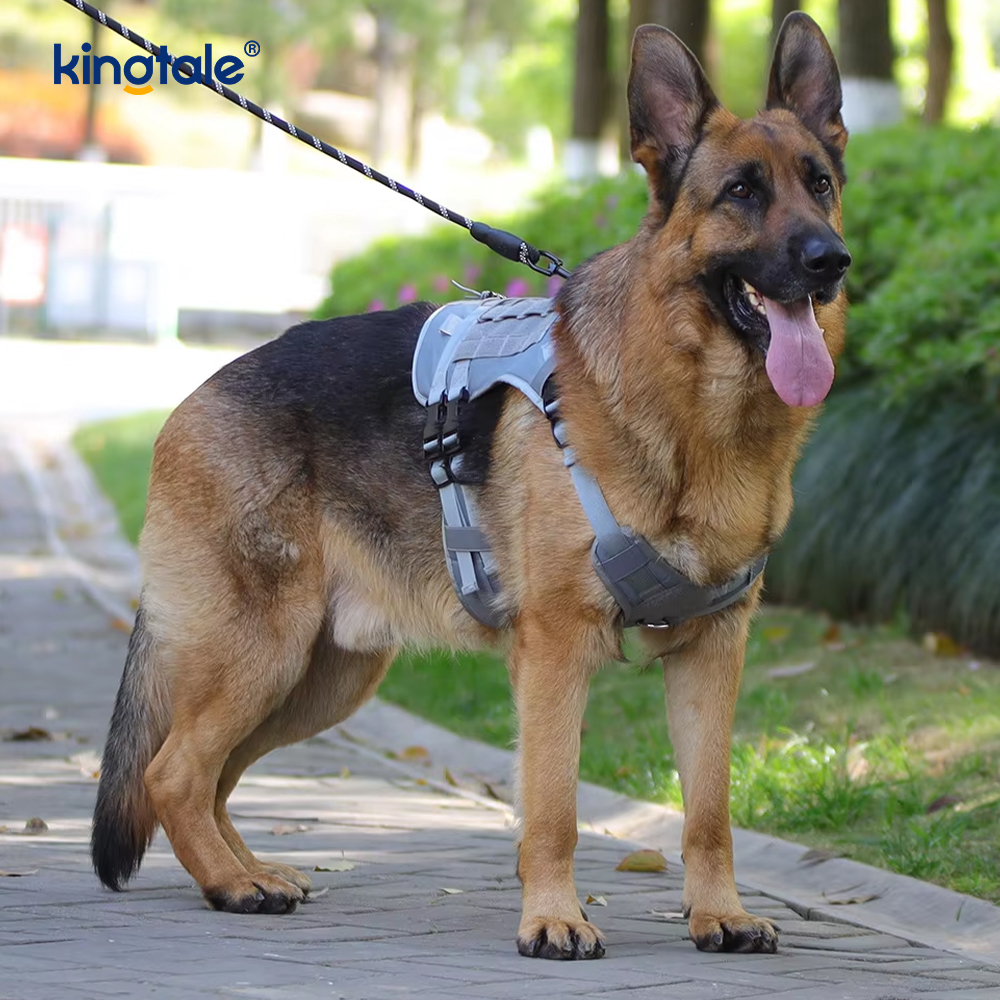 Customized Heavy Duty Large Vest Mesh Breathable Adjustable Dog Harness
