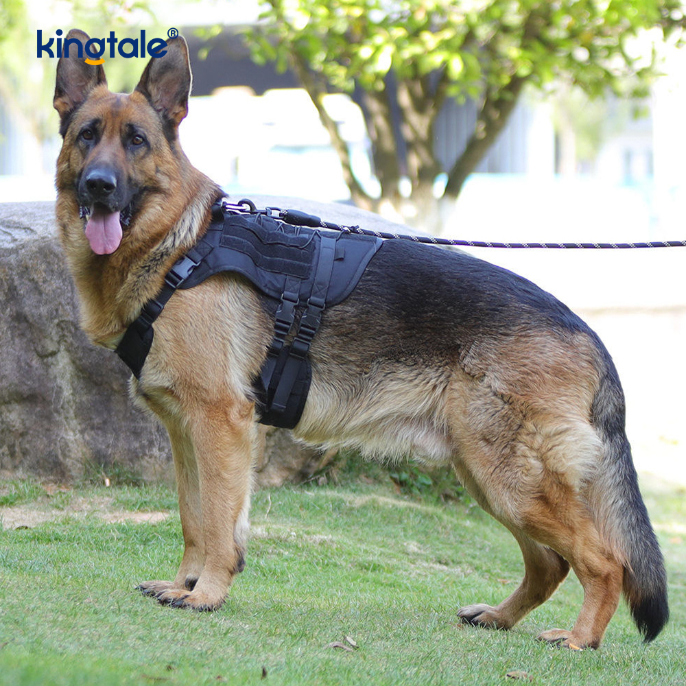 Customized Heavy Duty Large Vest Mesh Breathable Adjustable Dog Harness
