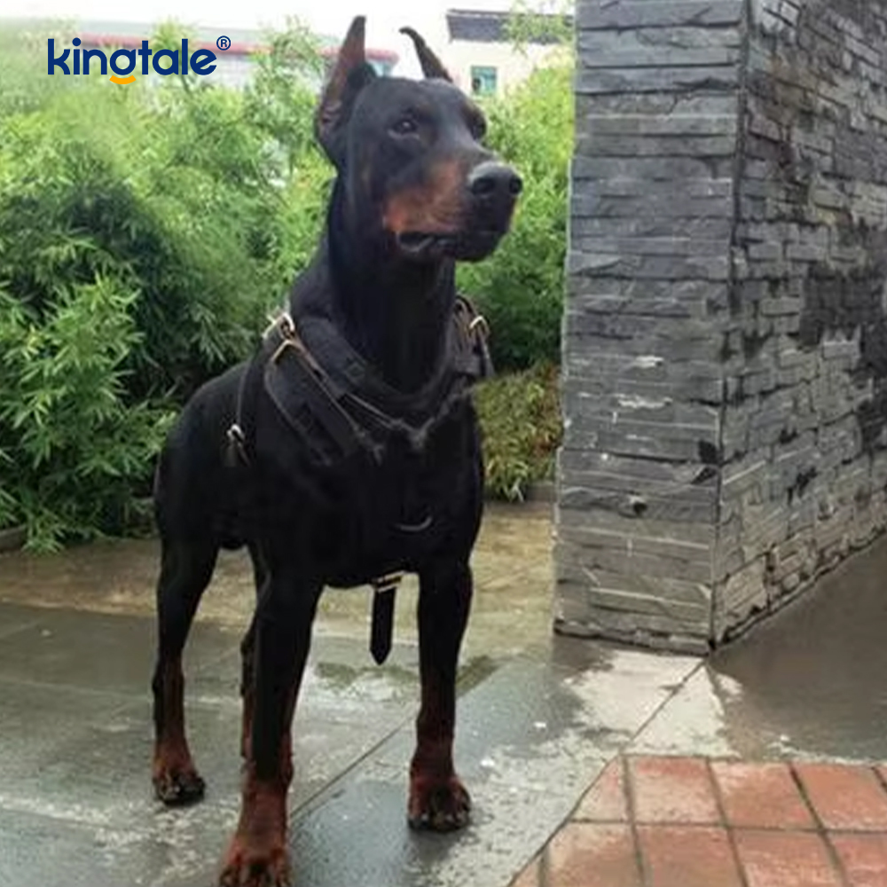 Leather Black Cowhide Widening and Thickening Dog Leather Harness  