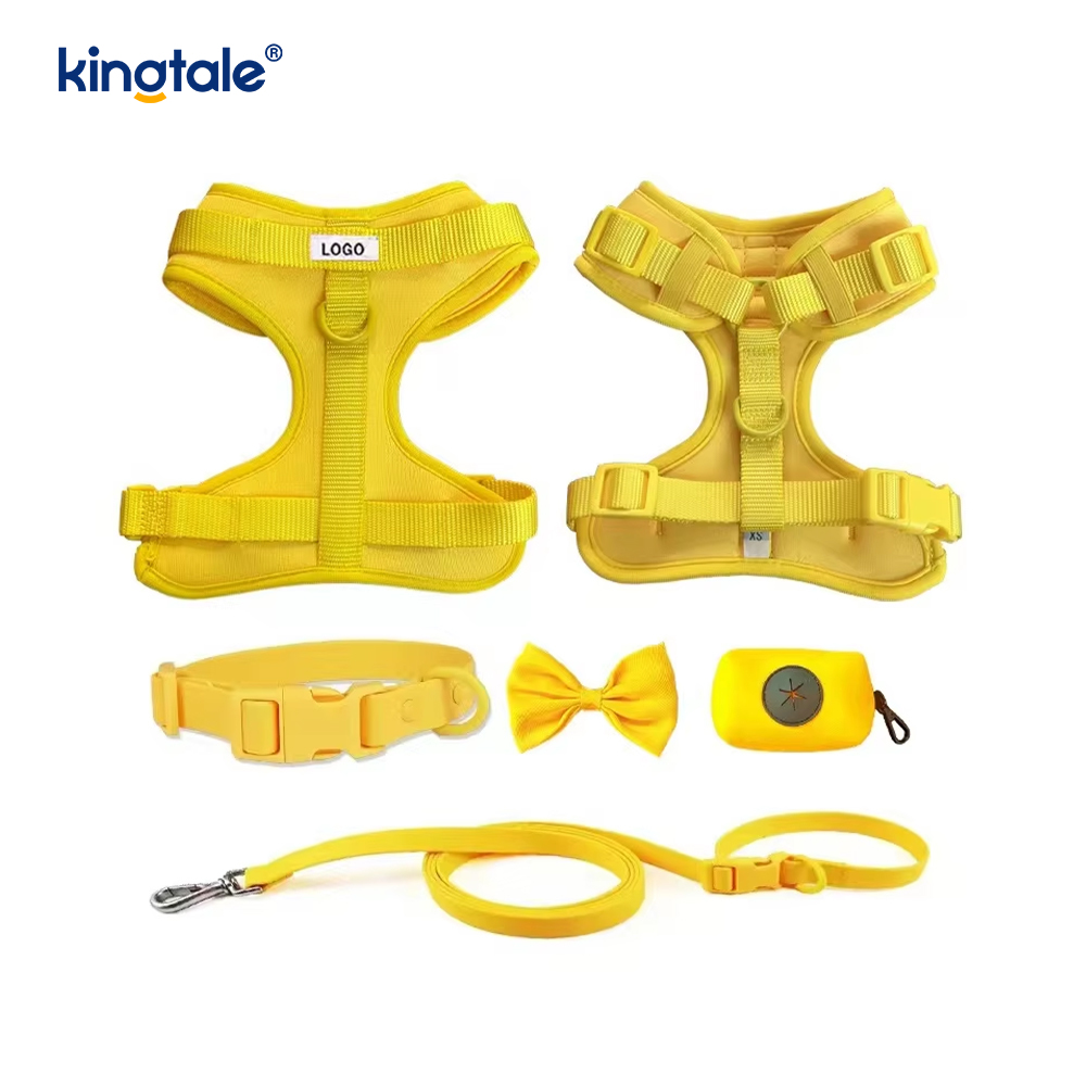 Custom Fashionable Lightweight Waterproof Pvc Dog Harness Leash Collar