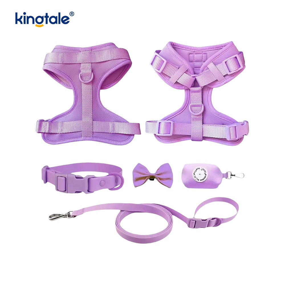 Custom Fashionable Lightweight Waterproof Pvc Dog Harness Leash Collar