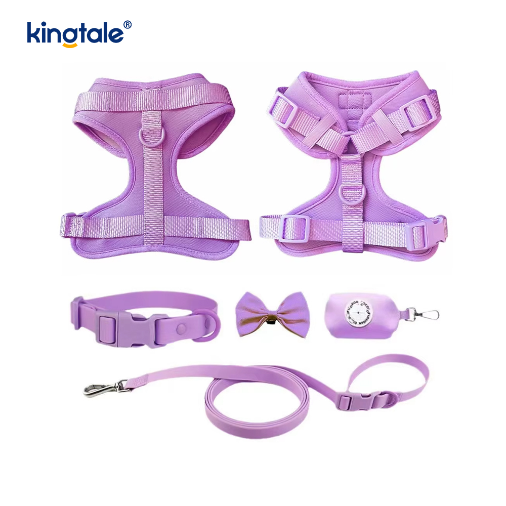 Custom Fashionable Lightweight Waterproof Pvc Dog Harness Leash Collar