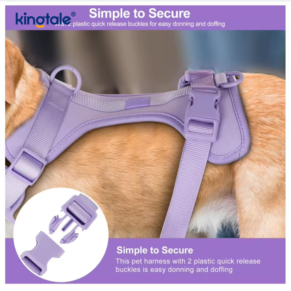 Custom Fashionable Lightweight Waterproof Pvc Dog Harness Leash Collar