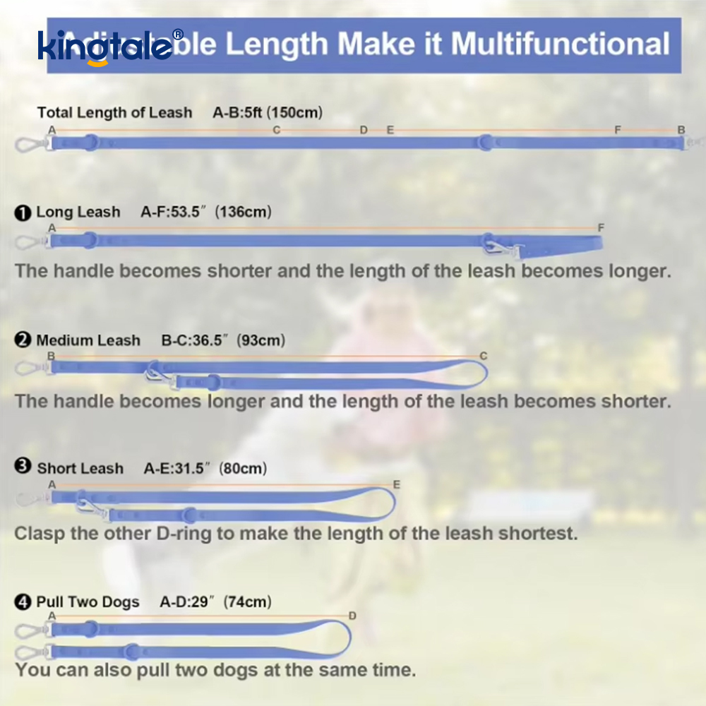 Custom Fashionable Lightweight Waterproof Pvc Dog Harness Leash Collar