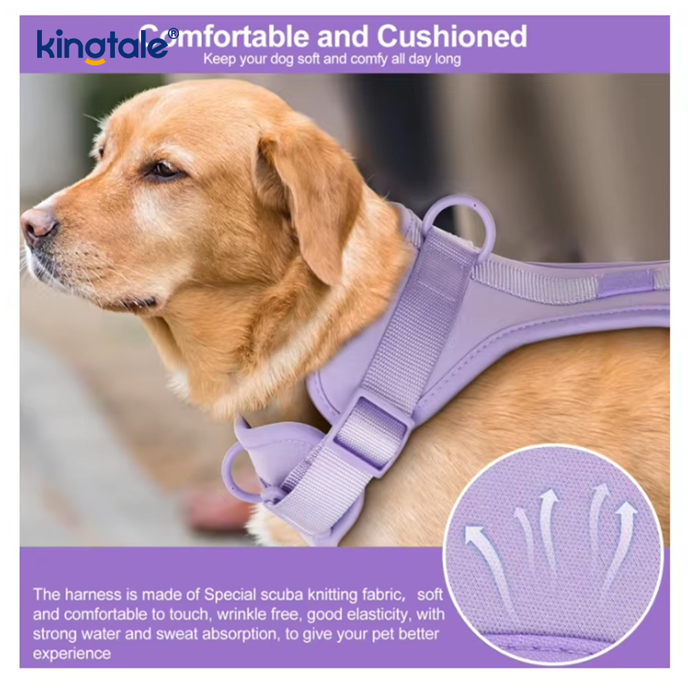 Custom Fashionable Lightweight Waterproof Pvc Dog Harness Leash Collar