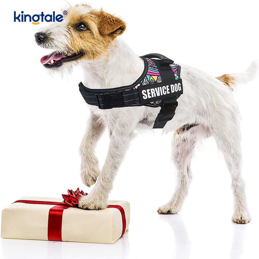 No Pull Reflective Designer Dog Harness Solid Nylon Rope Dog Leash 