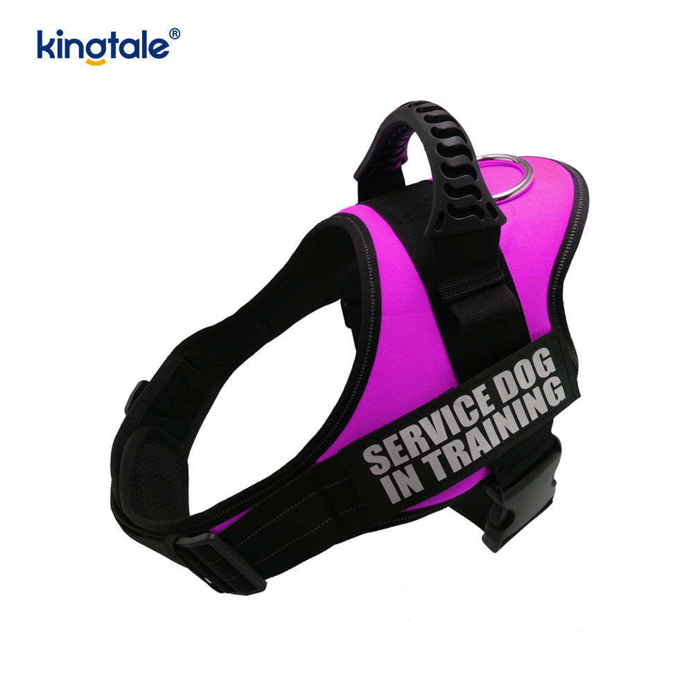 No Pull Reflective Designer Dog Harness Solid Nylon Rope Dog Leash 