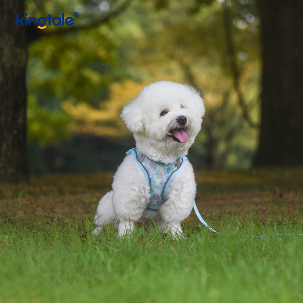 Vest-Style Fashion Padded Pet Harness Dog Reflective Anti-Shock Leash 