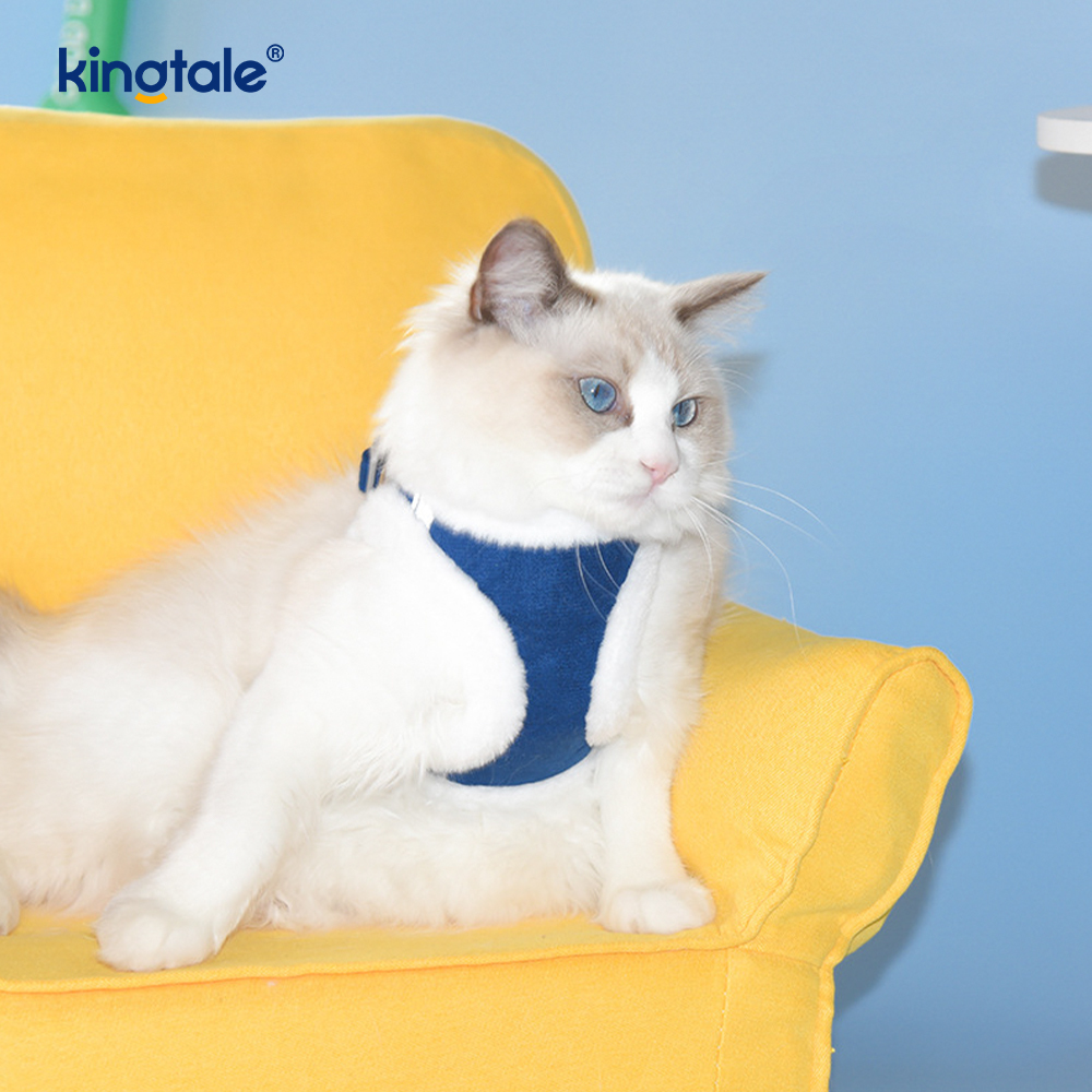 Plush Pet Dog Harness Leash Set Autumn Walking Dogs Harness Vest