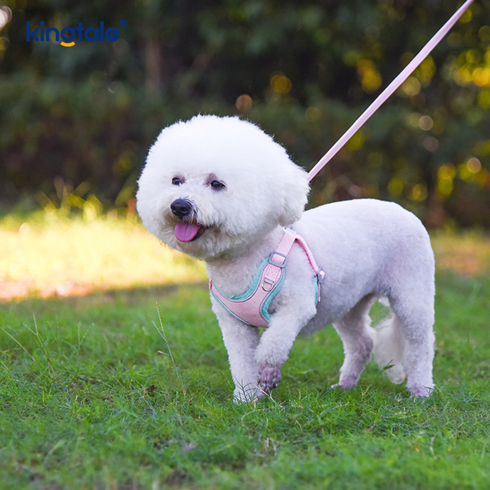 Leather Adjustable Small Pet Dog Cat Bling Rhinestone Harness & Leash Set 