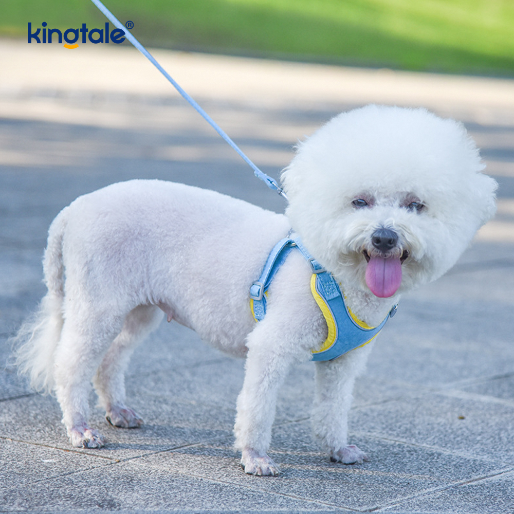 Leather Adjustable Small Pet Dog Cat Bling Rhinestone Harness & Leash Set 