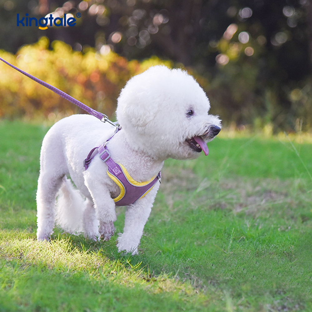 Leather Adjustable Small Pet Dog Cat Bling Rhinestone Harness & Leash Set 