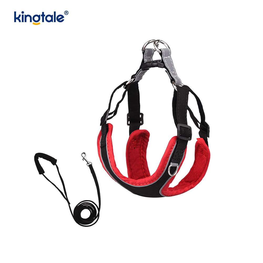 Leather Adjustable Small Pet Dog Cat Bling Rhinestone Harness & Leash Set 