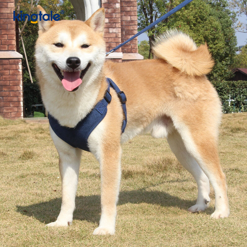 Leather Adjustable Small Pet Dog Cat Bling Rhinestone Harness & Leash Set 