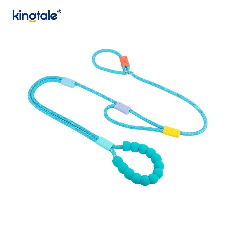 No Pull Durable Adjustable Nylon Double Handle Colorful Dog Slip Leash