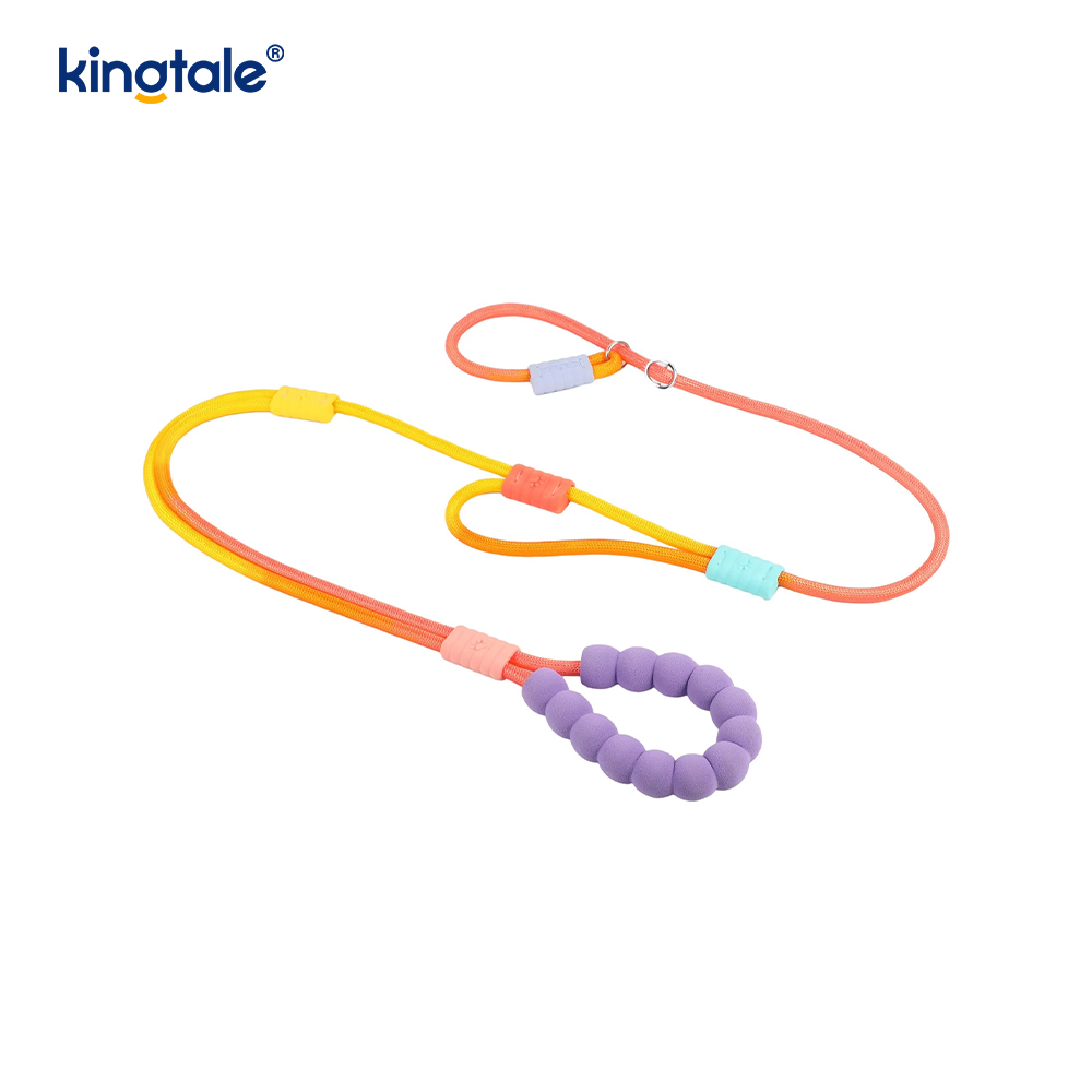 No Pull Durable Adjustable Nylon Double Handle Colorful Dog Slip Leash