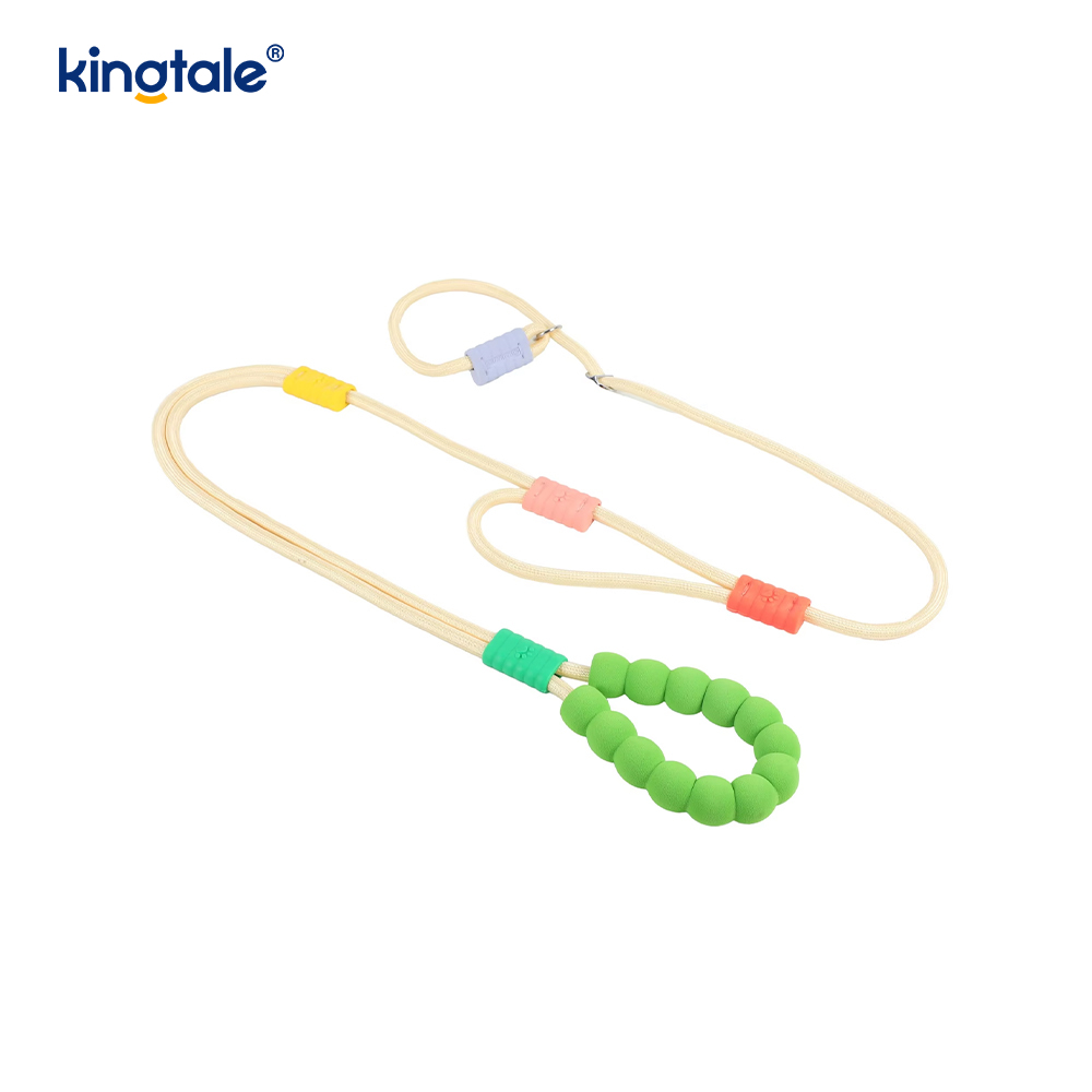 No Pull Durable Adjustable Nylon Double Handle Colorful Dog Slip Leash