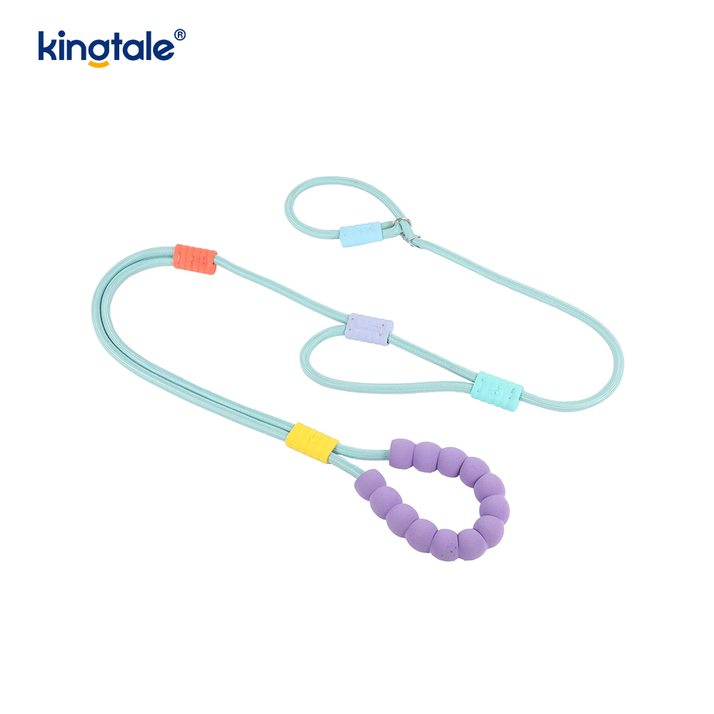 No Pull Durable Adjustable Nylon Double Handle Colorful Dog Slip Leash