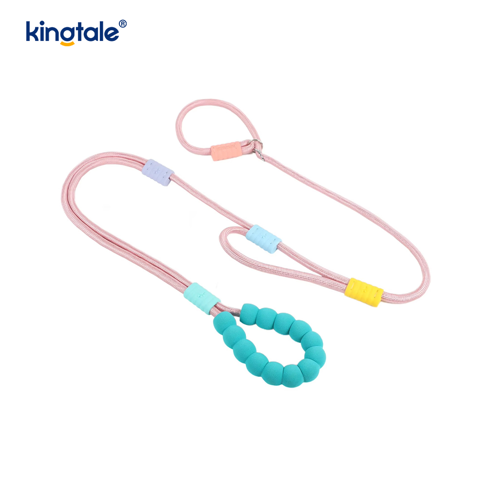 No Pull Durable Adjustable Nylon Double Handle Colorful Dog Slip Leash