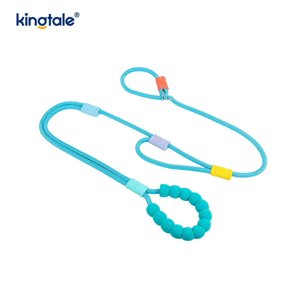 No Pull Durable Adjustable Nylon Double Handle Colorful Dog Slip Leash