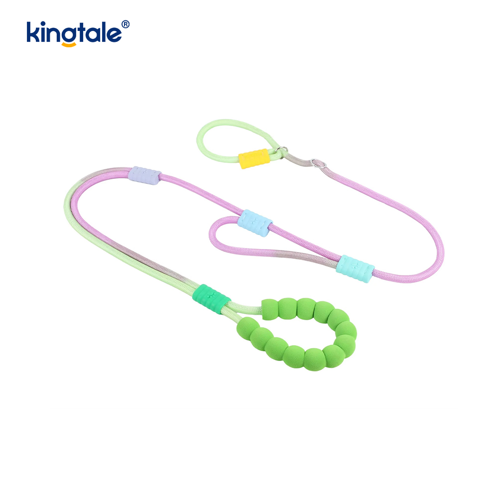 No Pull Durable Adjustable Nylon Double Handle Colorful Dog Slip Leash
