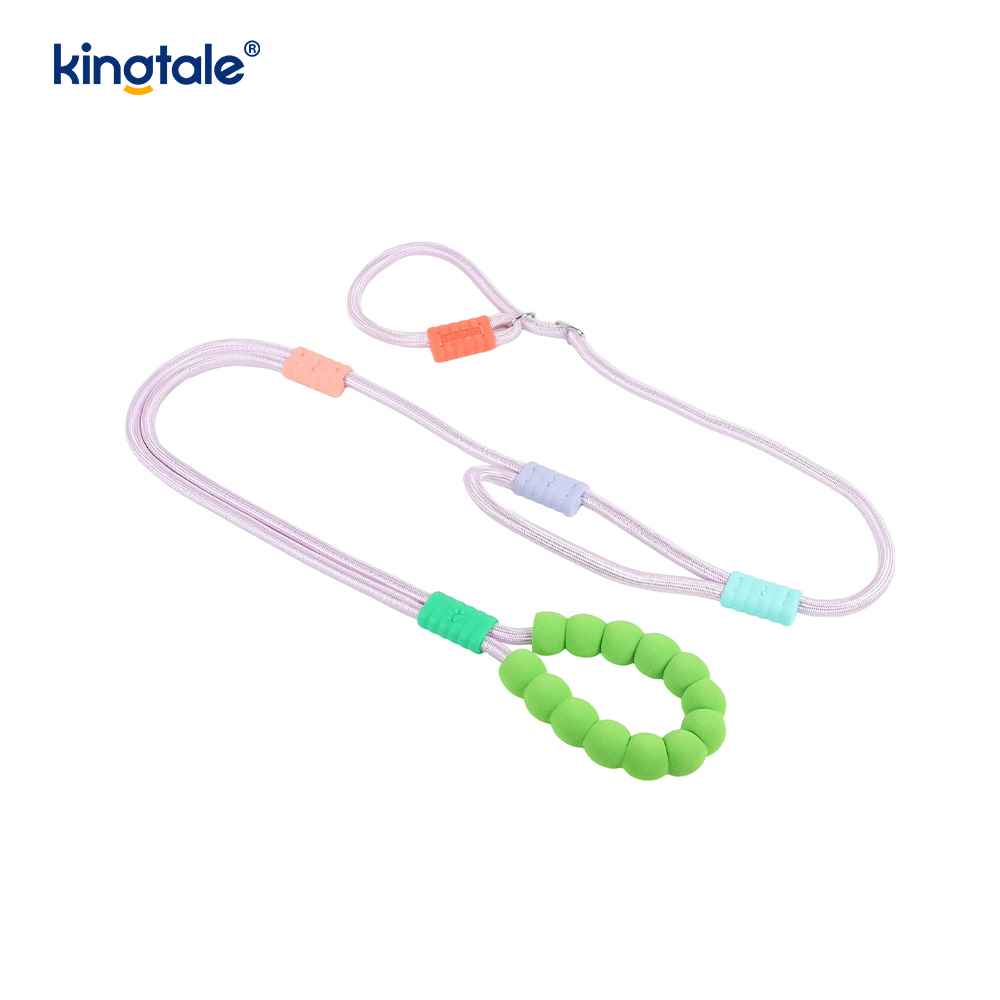 No Pull Durable Adjustable Nylon Double Handle Colorful Dog Slip Leash