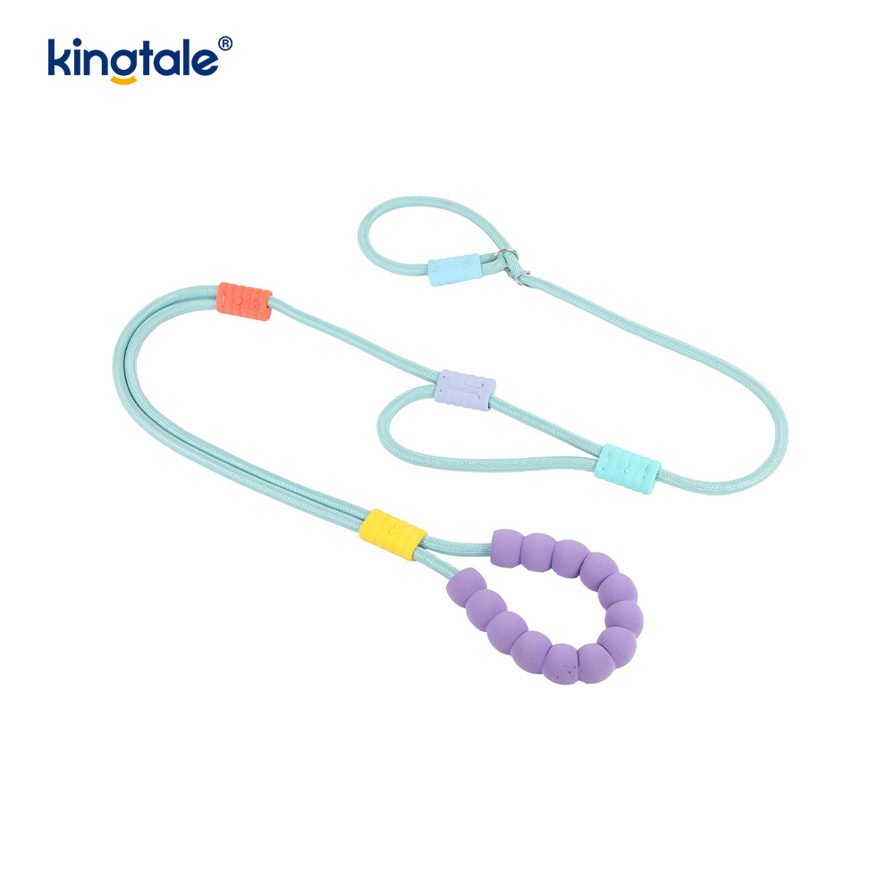 No Pull Durable Adjustable Nylon Double Handle Colorful Dog Slip Leash