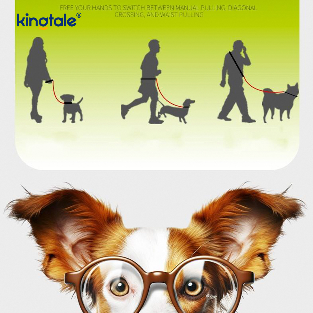 No Pull Durable Adjustable Nylon Double Handle Colorful Dog Slip Leash