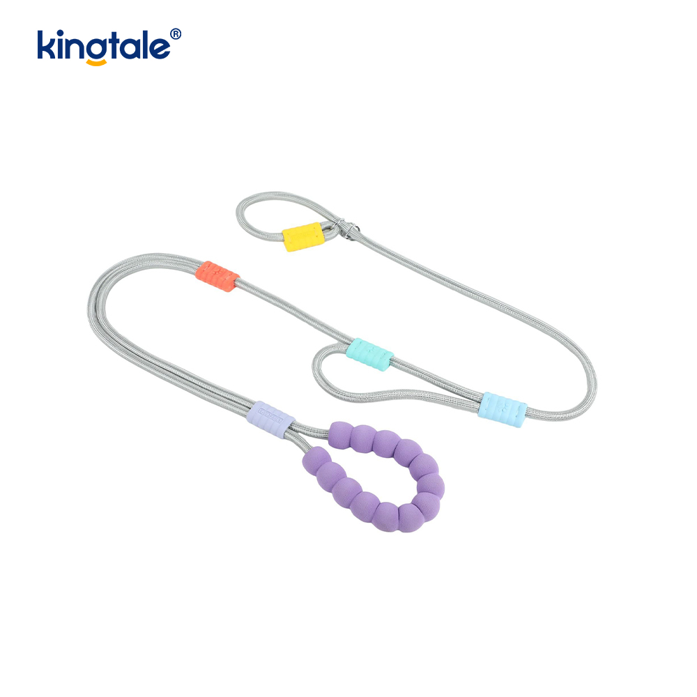 No Pull Durable Adjustable Nylon Double Handle Colorful Dog Slip Leash