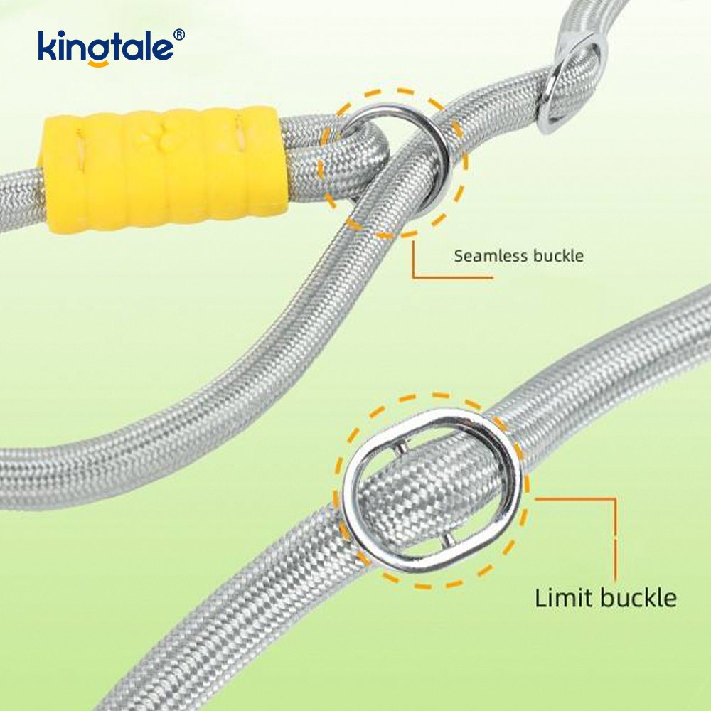 No Pull Durable Adjustable Nylon Double Handle Colorful Dog Slip Leash