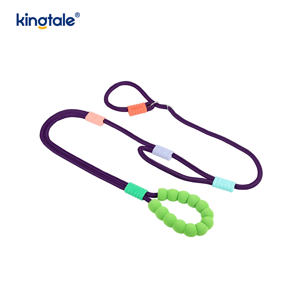 No Pull Durable Adjustable Nylon Double Handle Colorful Dog Slip Leash