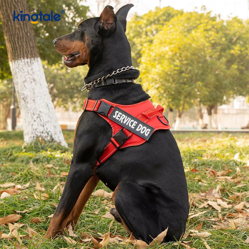 No-Pull Reflective Tactical Eavy Duty Tactical Dog Harness For Large Dogs